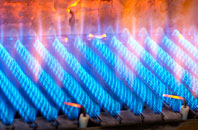 Gordon gas fired boilers